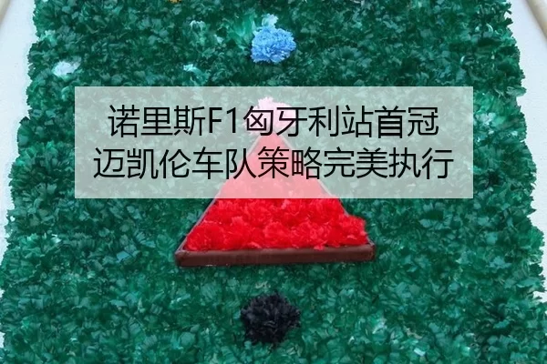 nuo-li-si-xiong-ya-li-zhan-shou-guan-mai-kai-lun-che-dui-ce-lve-wan-mei-zhi-xing-2-155.jpg