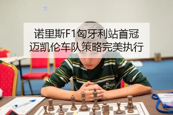 nuo-li-si-xiong-ya-li-zhan-shou-guan-mai-kai-lun-che-dui-ce-lve-wan-mei-zhi-xing-3-507.jpg