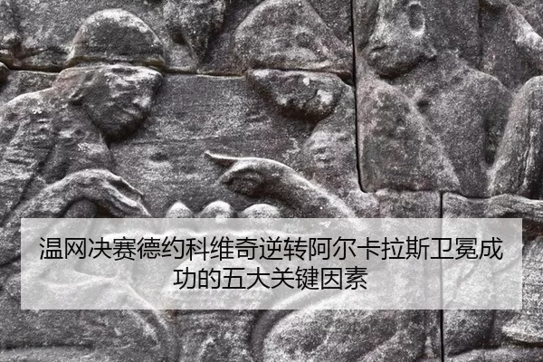 wen-wang-jue-sai-de-yue-ke-wei-qi-ni-zhuan-a-er-ka-la-si-wei-mian-cheng-gong-de-wu-da-guan-jian-yin-su-3-161.jpg